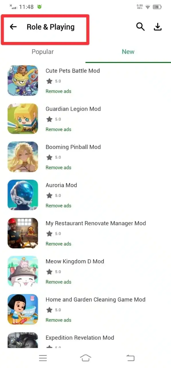 Role and Playing New